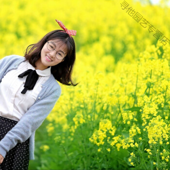 5ee8dd435819a37b.jpg